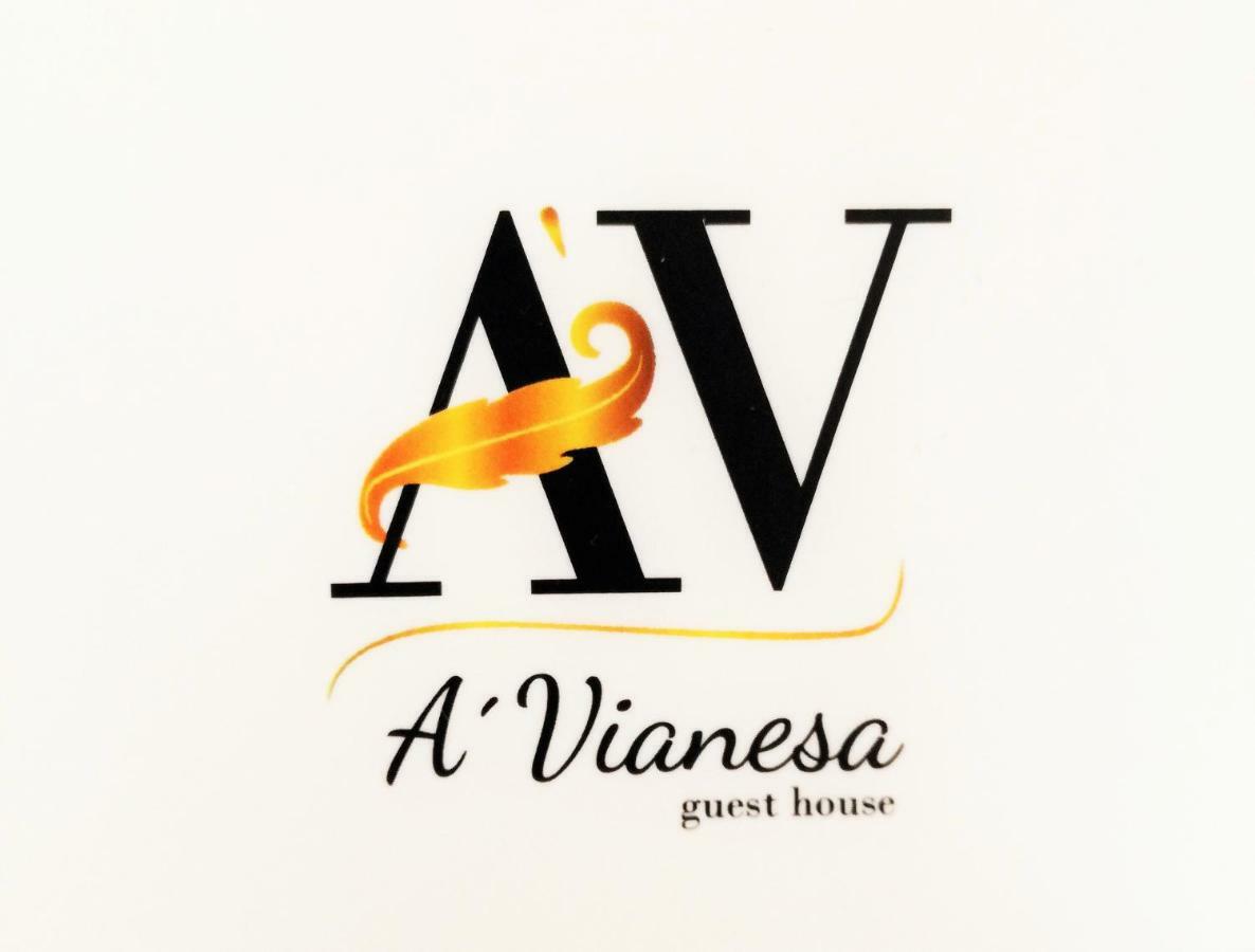 A Vianesa - Guest House Viana do Castelo Ngoại thất bức ảnh